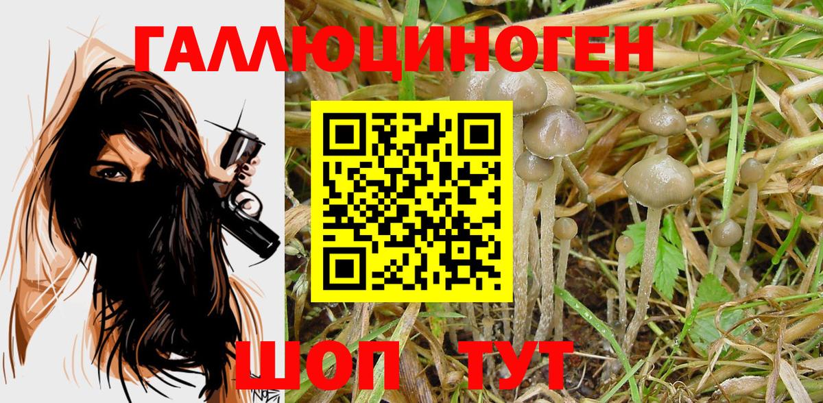 Ефремов  Галлюциногенные грибы MAGIC MUSHROOMS  купить наркотик  Вход с VPN  Псилоцибиновые грибы ЛСД 