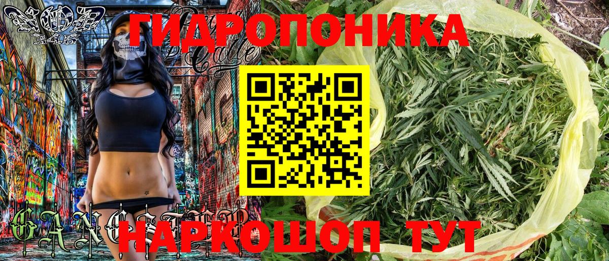 Бошки Шишки планчик Ефремов